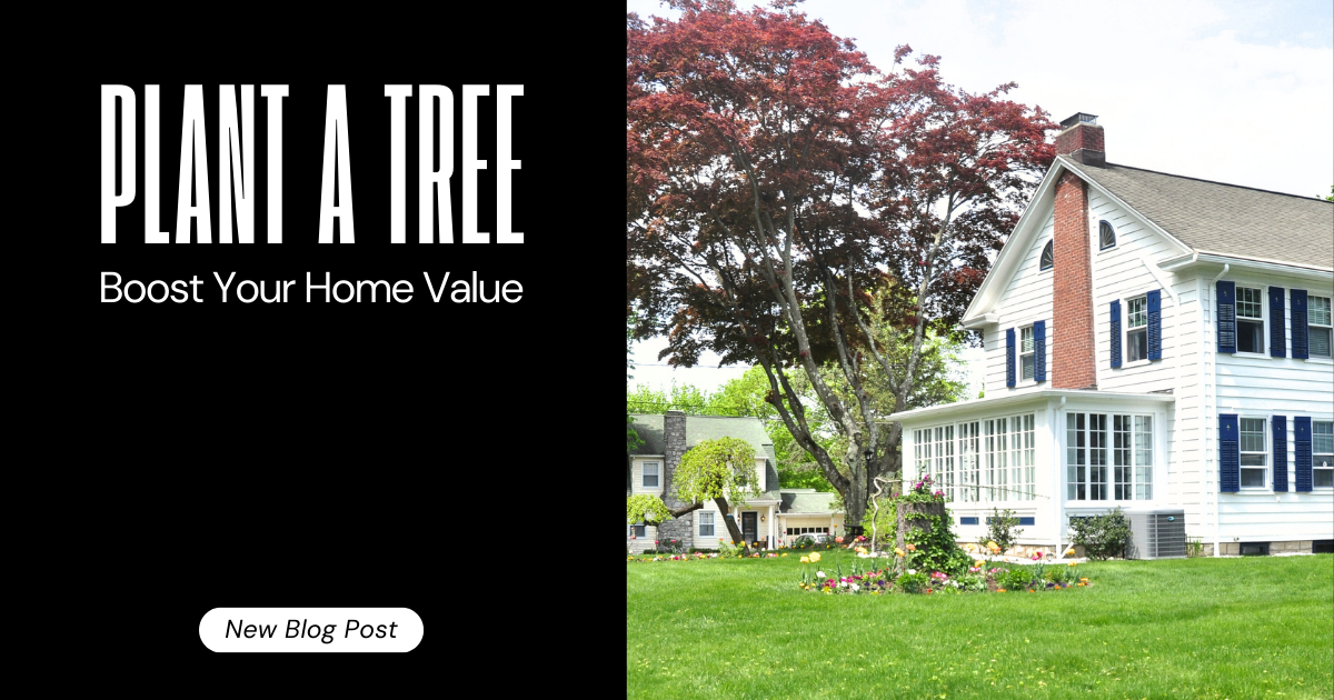 Plant A Tree Boost Your Home Value - Full HD Mountain Illustrations for Desktop